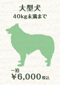 大型犬40kg未満まで　一泊￥6,000税込